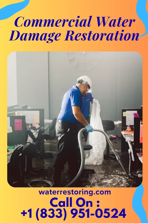 Commercial Water Damage Restoration in Gig Harbor, WA