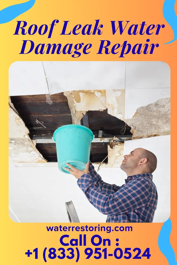 Roof Leak Water Damage Repair in Gig Harbor, WA